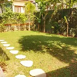 Petit Tree