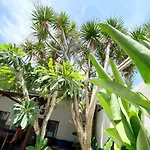 Summer Of Surf Villas 1 Seminyak