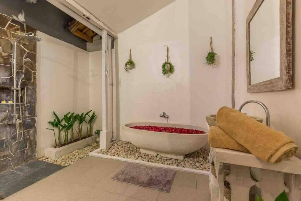 Alegria Villa *