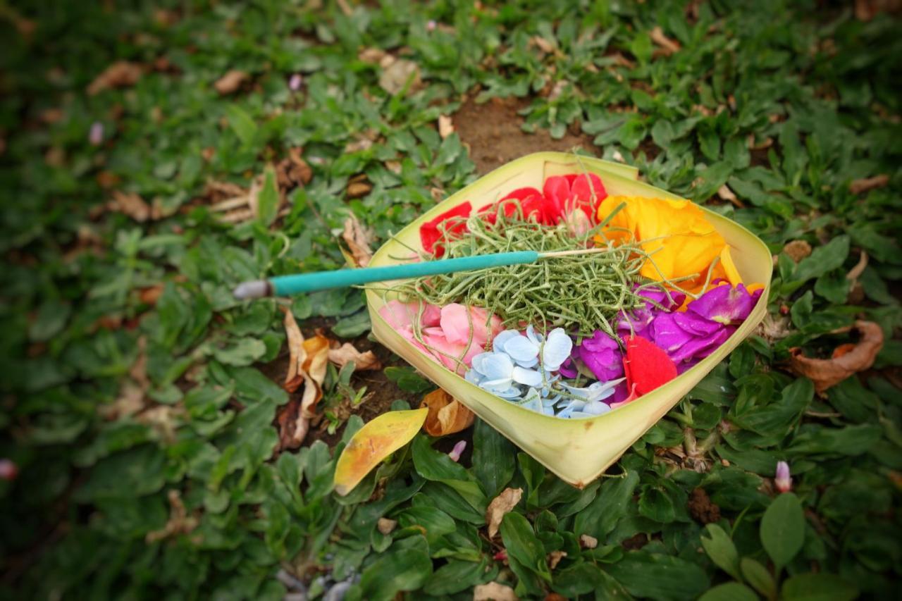 Bed & Breakfast Petit Tree Seminyak (Bali)