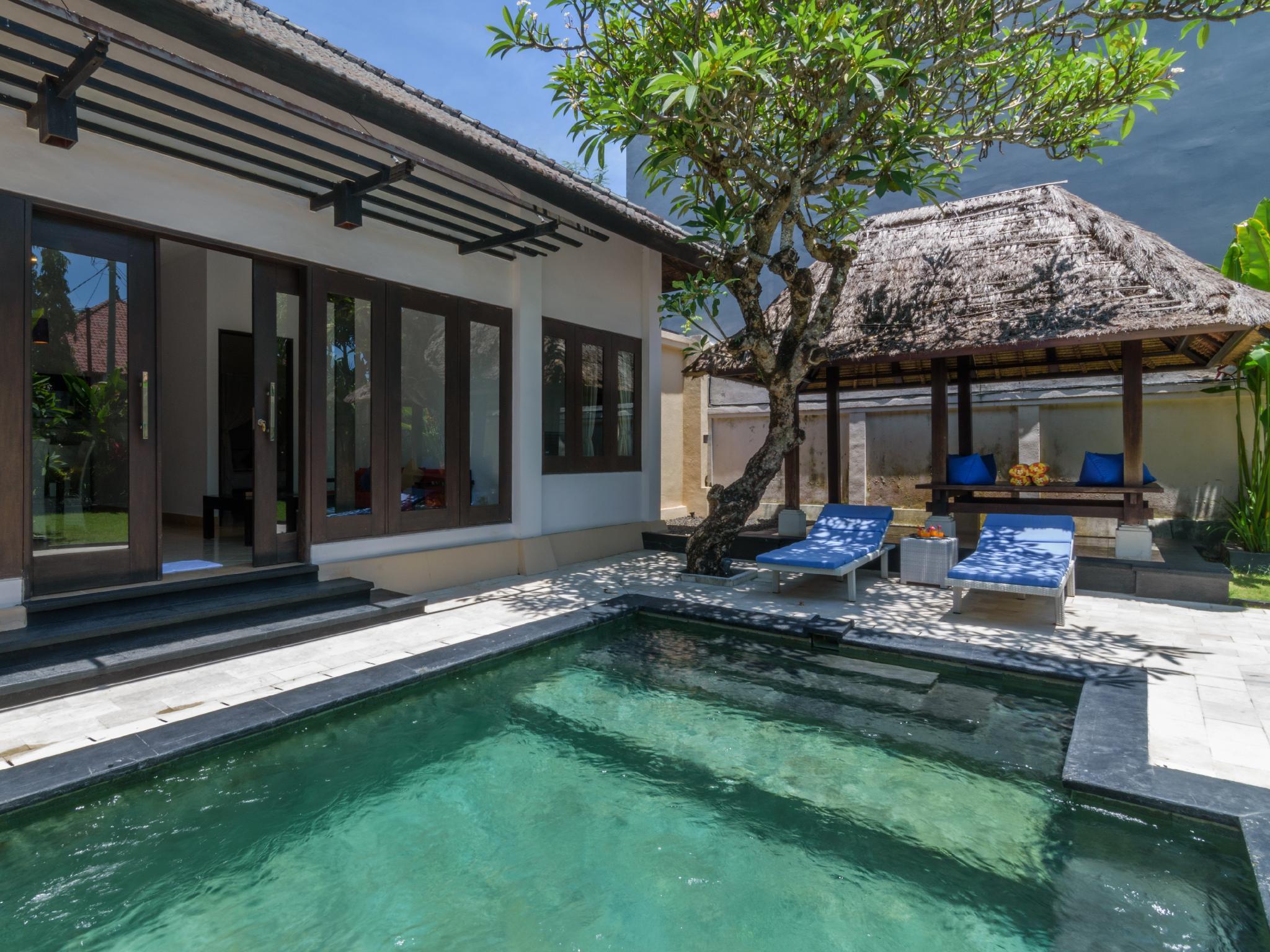 The Tukad Seminyak (Bali)