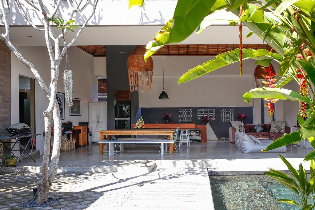 Turtle * Seminyak (Bali)