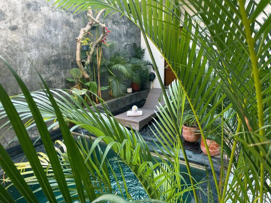 Otilia: 3bed With Pool Seminyak (Bali)