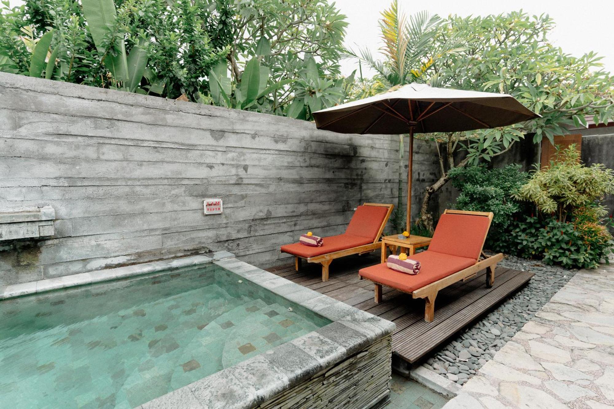 Bracha Bali - Chse Certified *