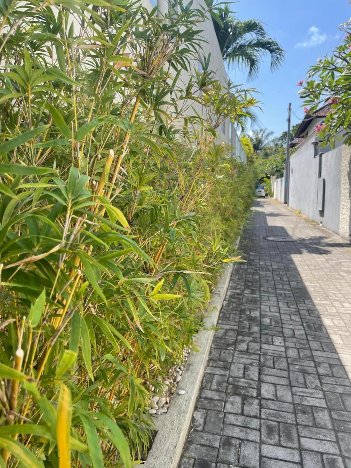 Biệt thự Frangipani