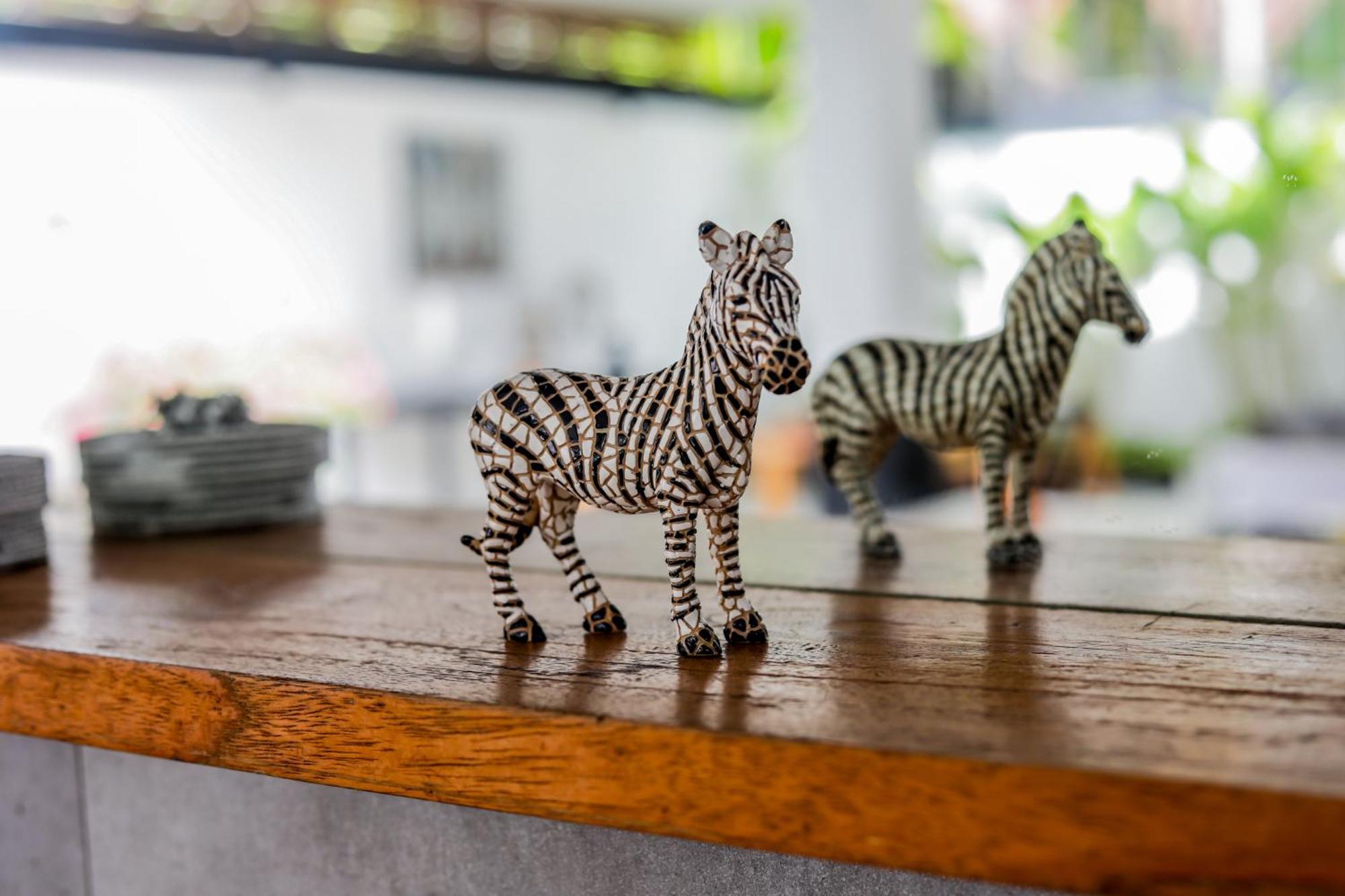 Zebra Walking Distance To Potato Head Villa Seminyak (Bali)