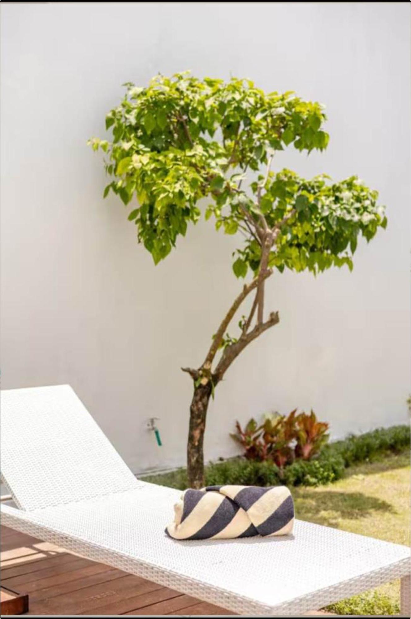 Peko - 1 Bed - Seminyak