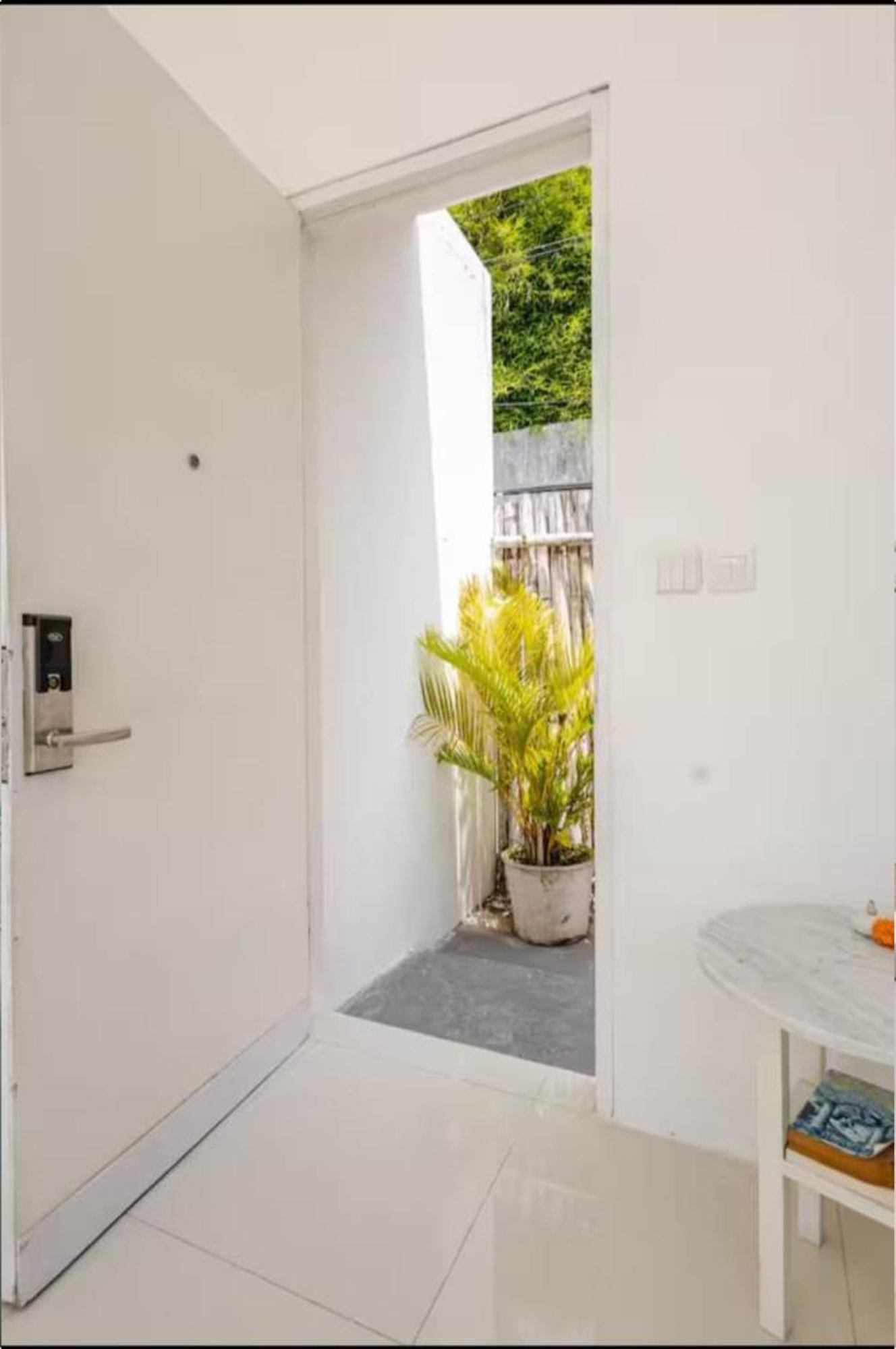 Peko - 1 Bed - Seminyak