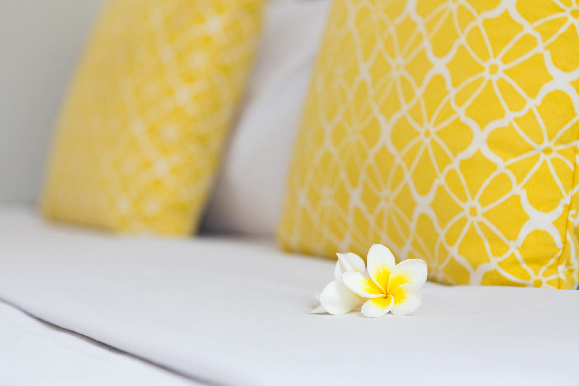 Allure Villas Seminyak (Bali)