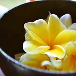 The Ulin Villas And Spa - By Karaniya Experience - Chse Certified