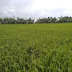 Umah Watu Villas