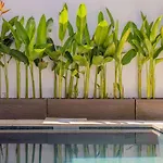 Villa Phoenix Brand New 1Br In Umalas, Bali