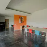 Cozy Bobo Hostel