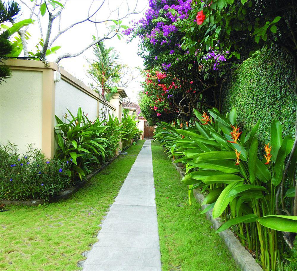 Heliconia * Seminyak