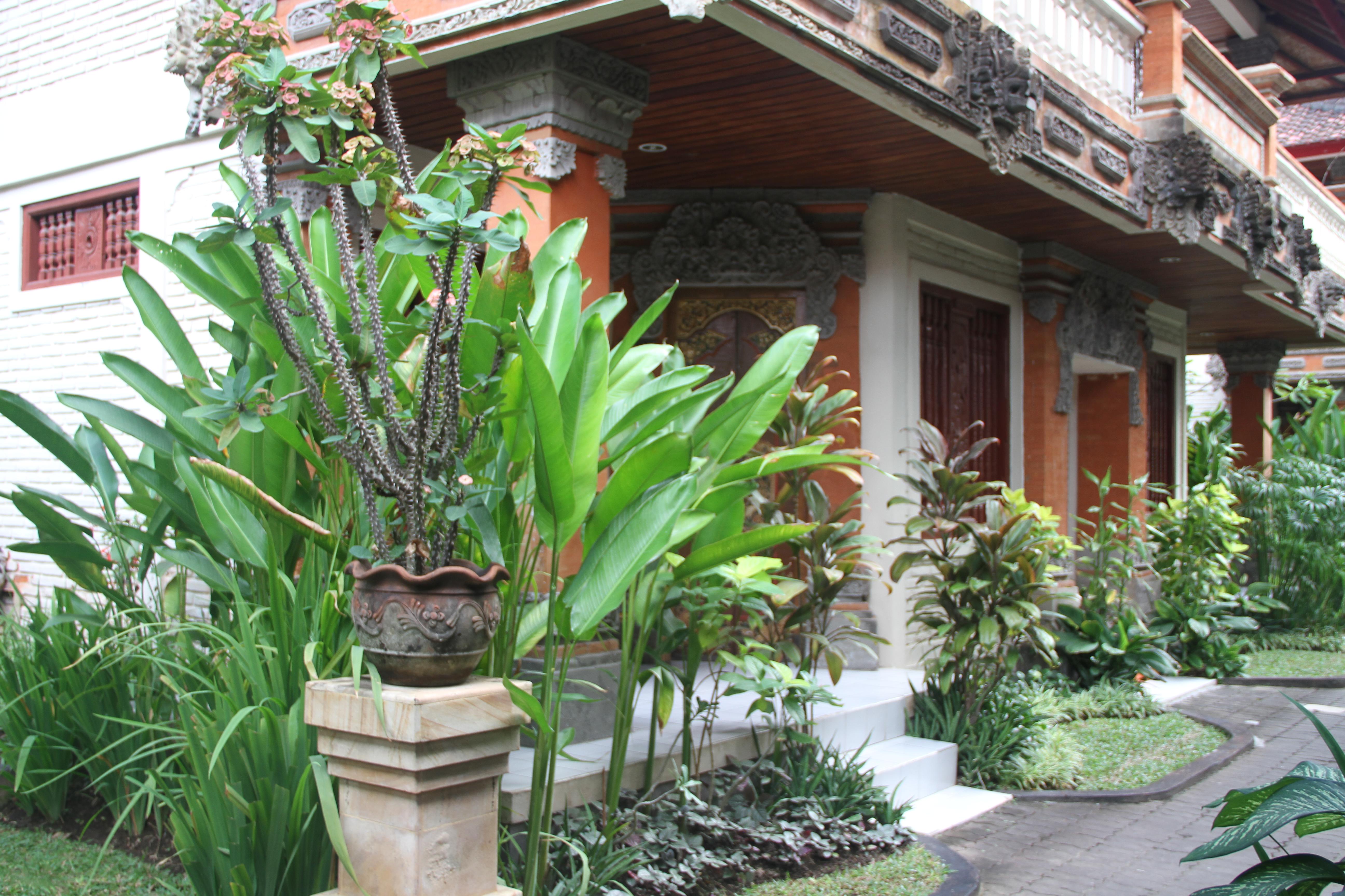 Paradiso Hotel 3*
