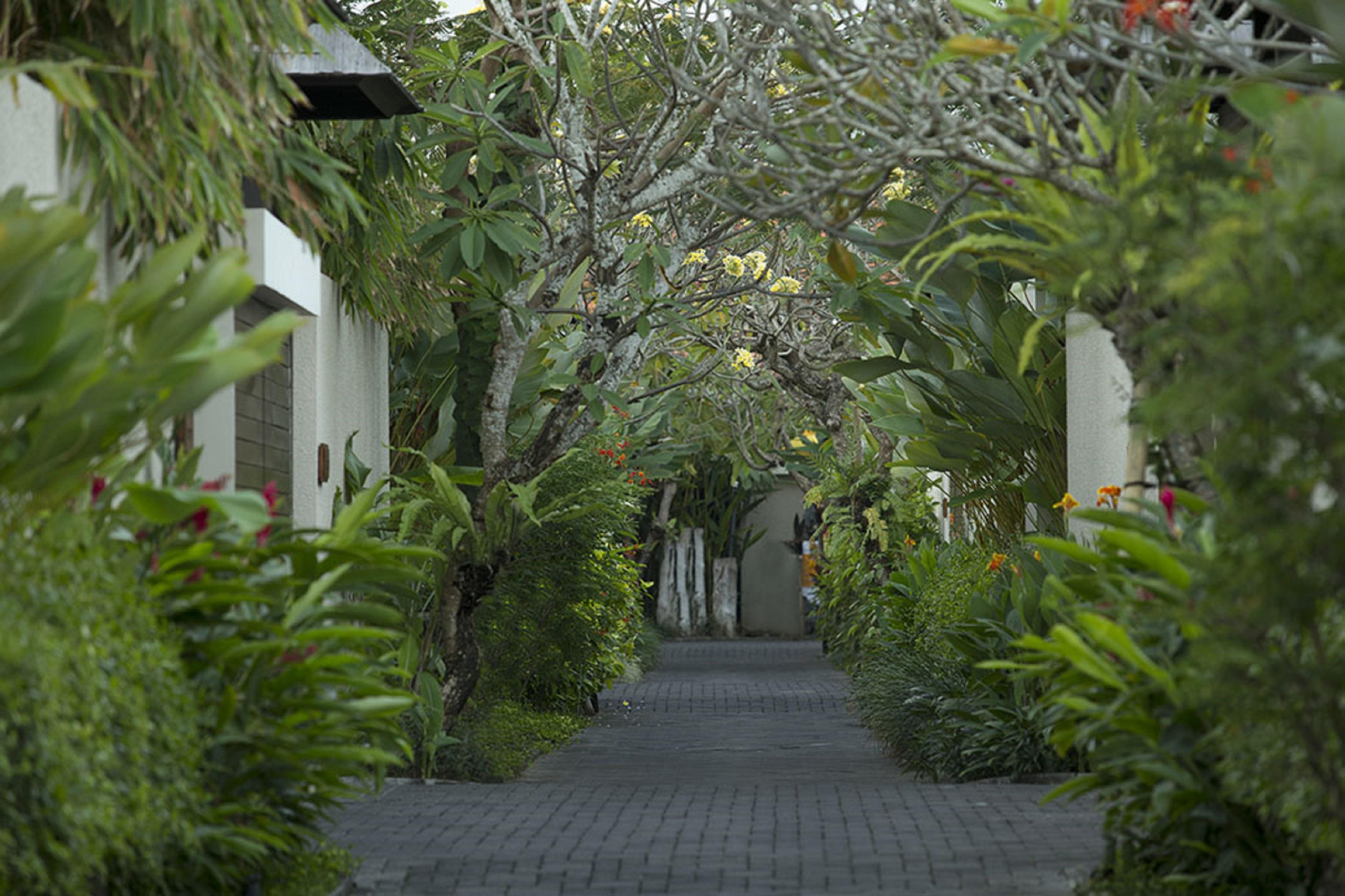 Berry Romantic * Seminyak