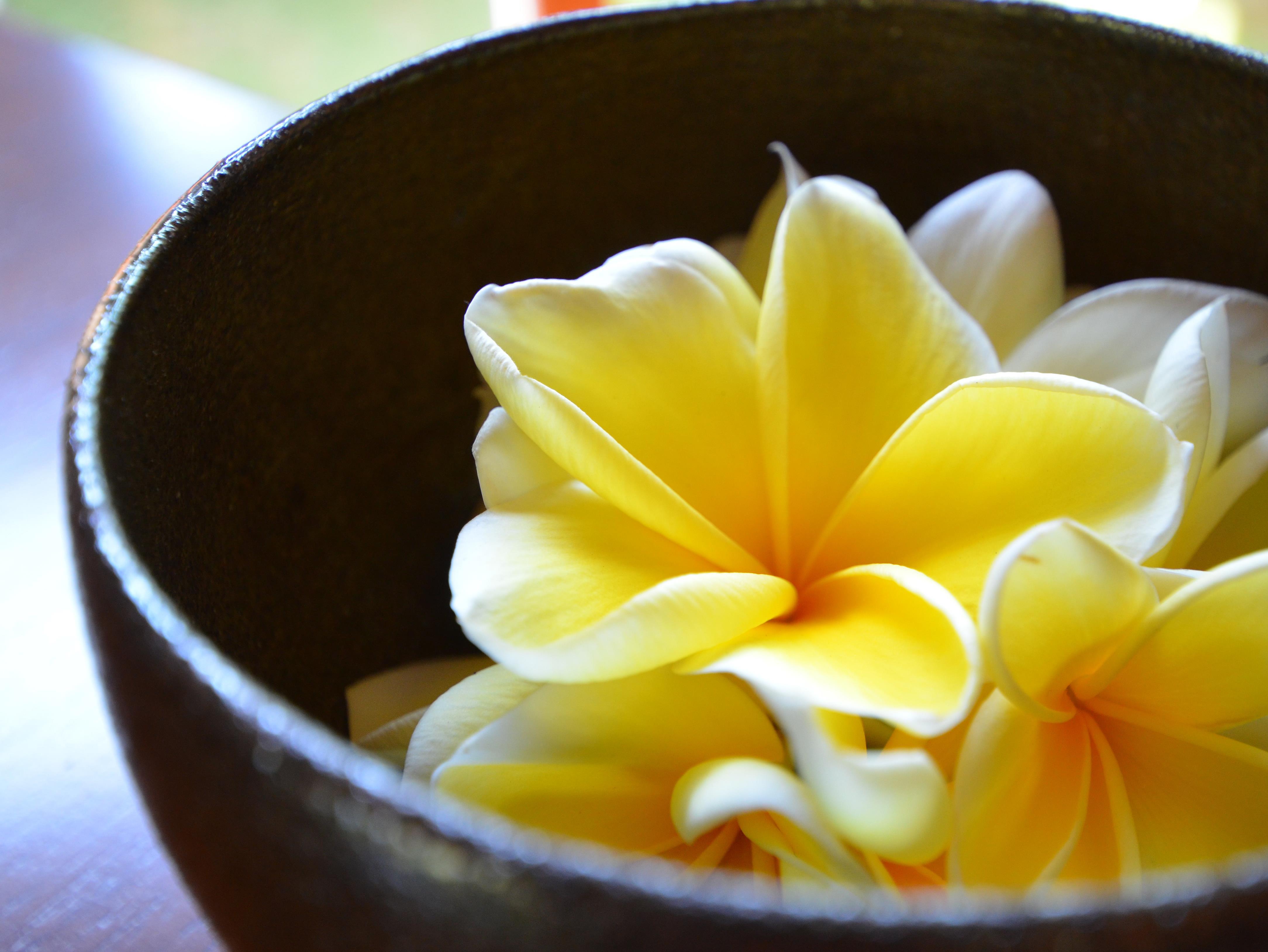 The Ulin And - By Karaniya Experience - Chse Certified