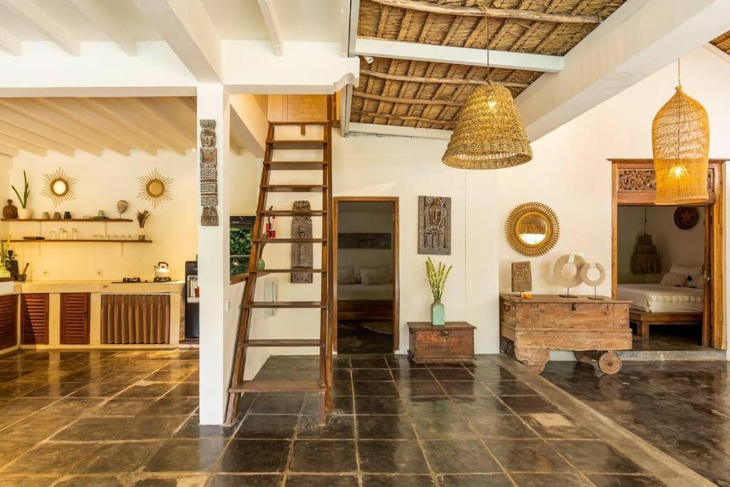 Oma - A Tropical Sanctuary Of