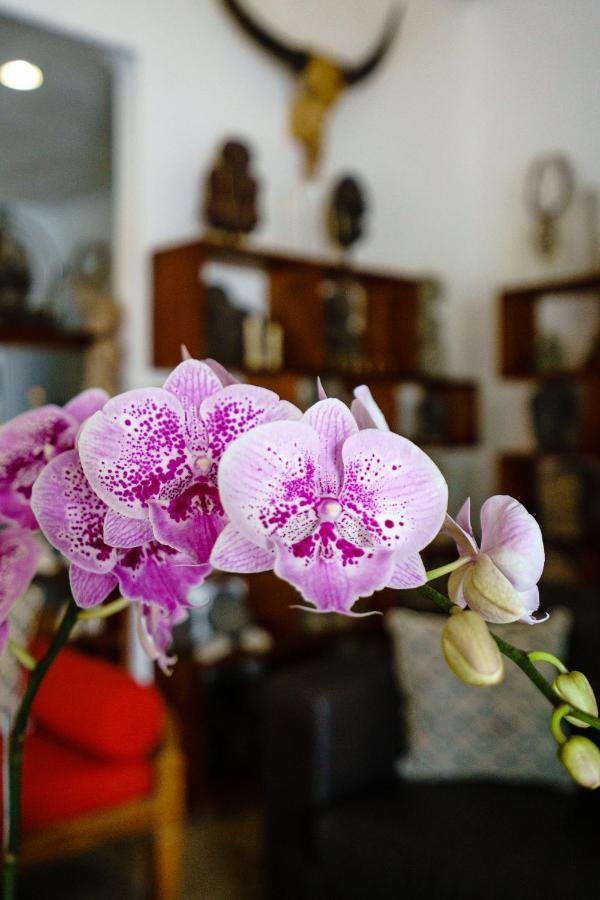 Madu Seminyak (Bali)