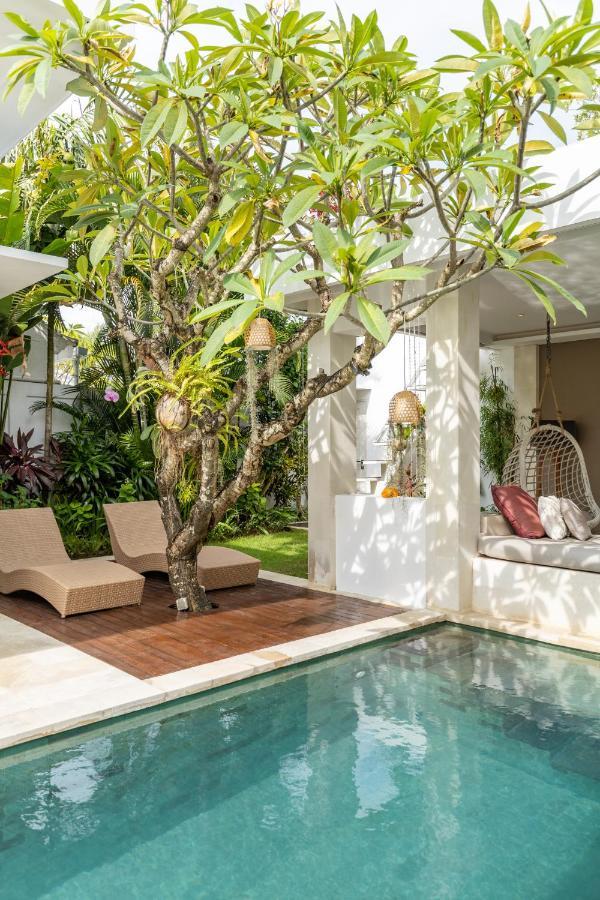 Villa Fresh And Stylish 3bd In With Private Pool Seminyak (Bali)