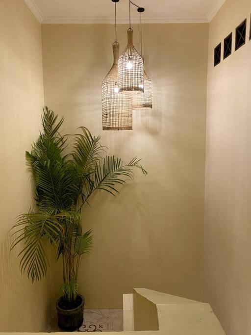 Villa Cozy 3 Bedroom In Seminyak