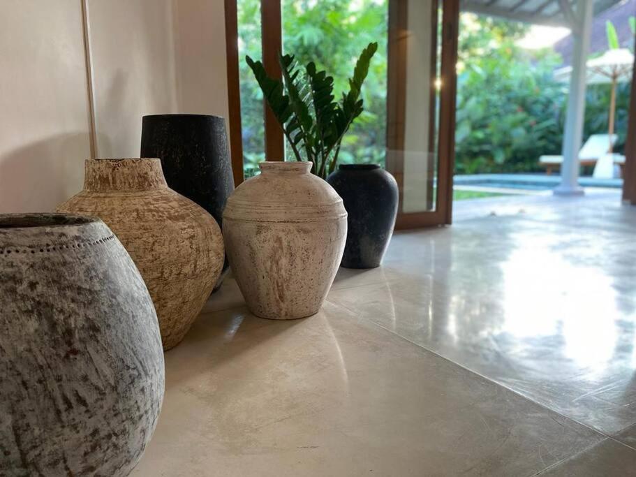 Savvy Villa, A Tranquil Oasis & Walk To The Villa *