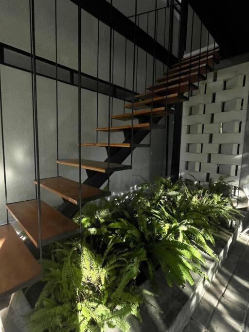 Apartment The Drupadi Gordy