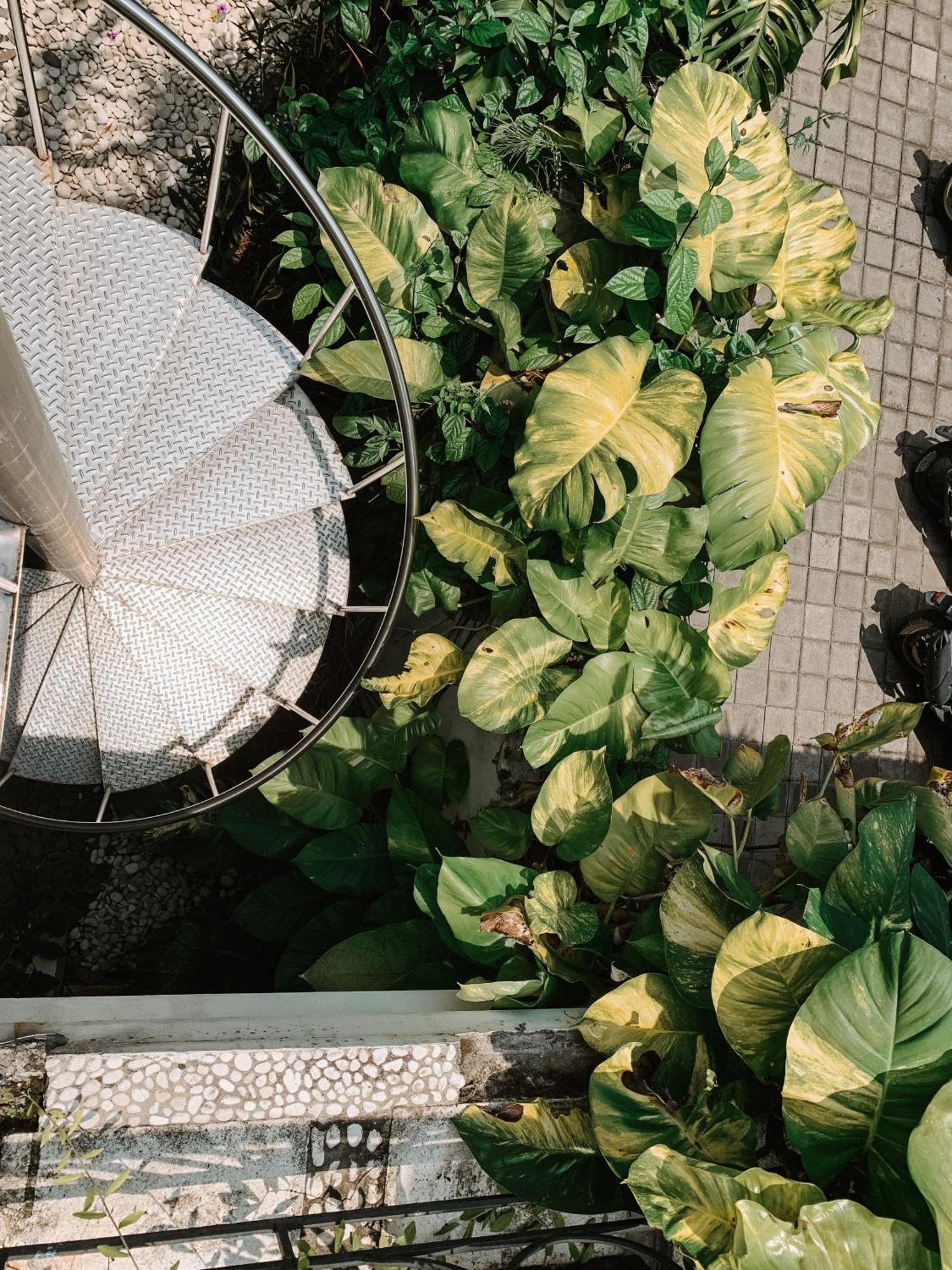 Casa Artista By Kresna Hospitality Seminyak (Bali)