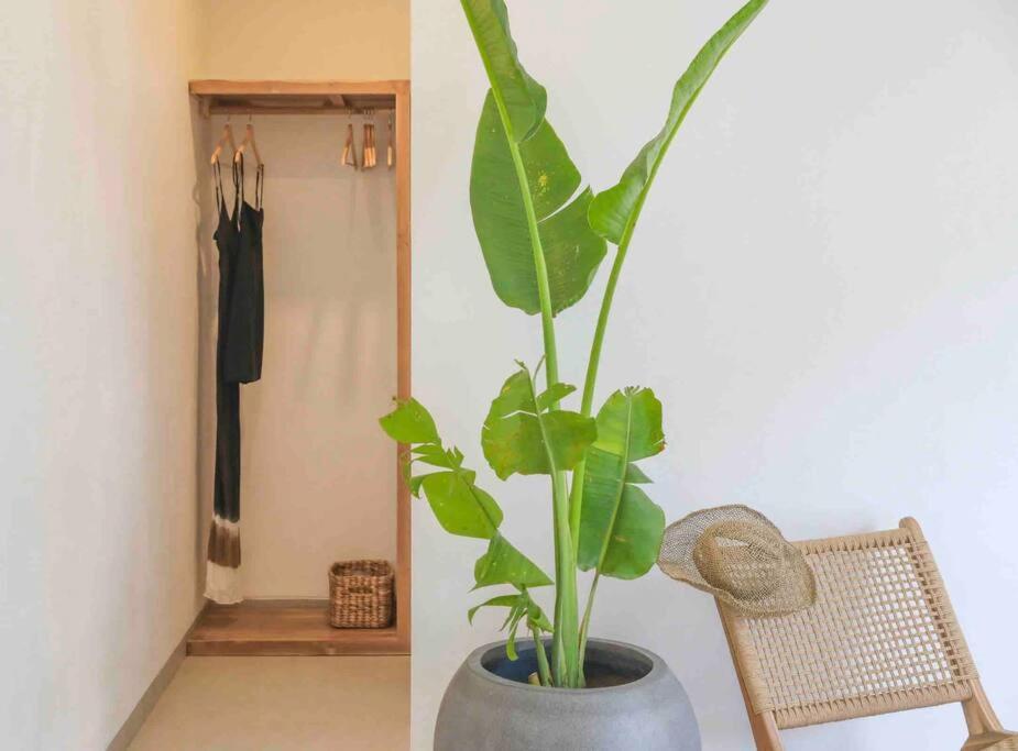 Villa Efire-3 Bedroom With Pool Seminyak (Bali)