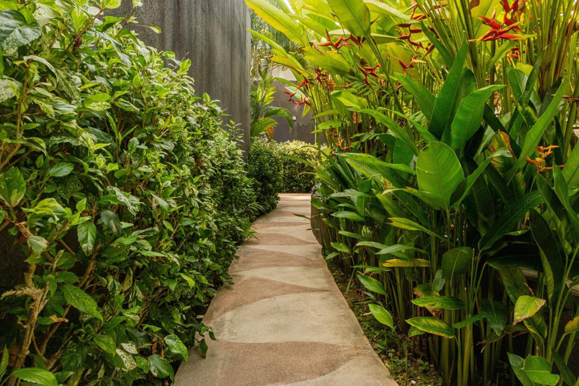 Taman Mesari Luxury Villas-seminyak Pousada *