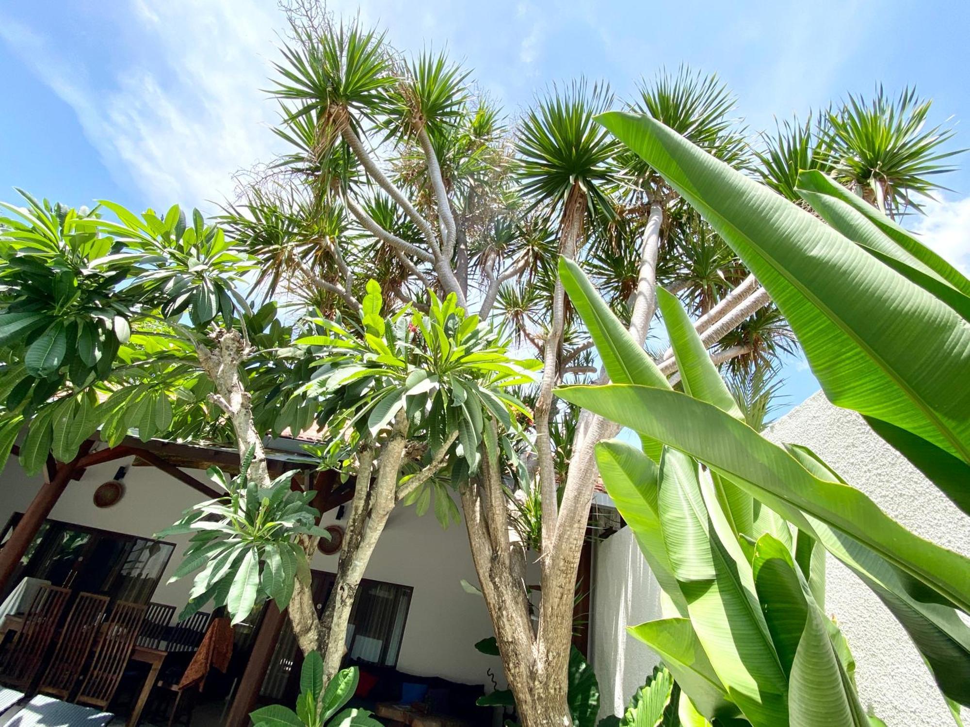 Summer Of Surf 1 Villa Seminyak (Bali)