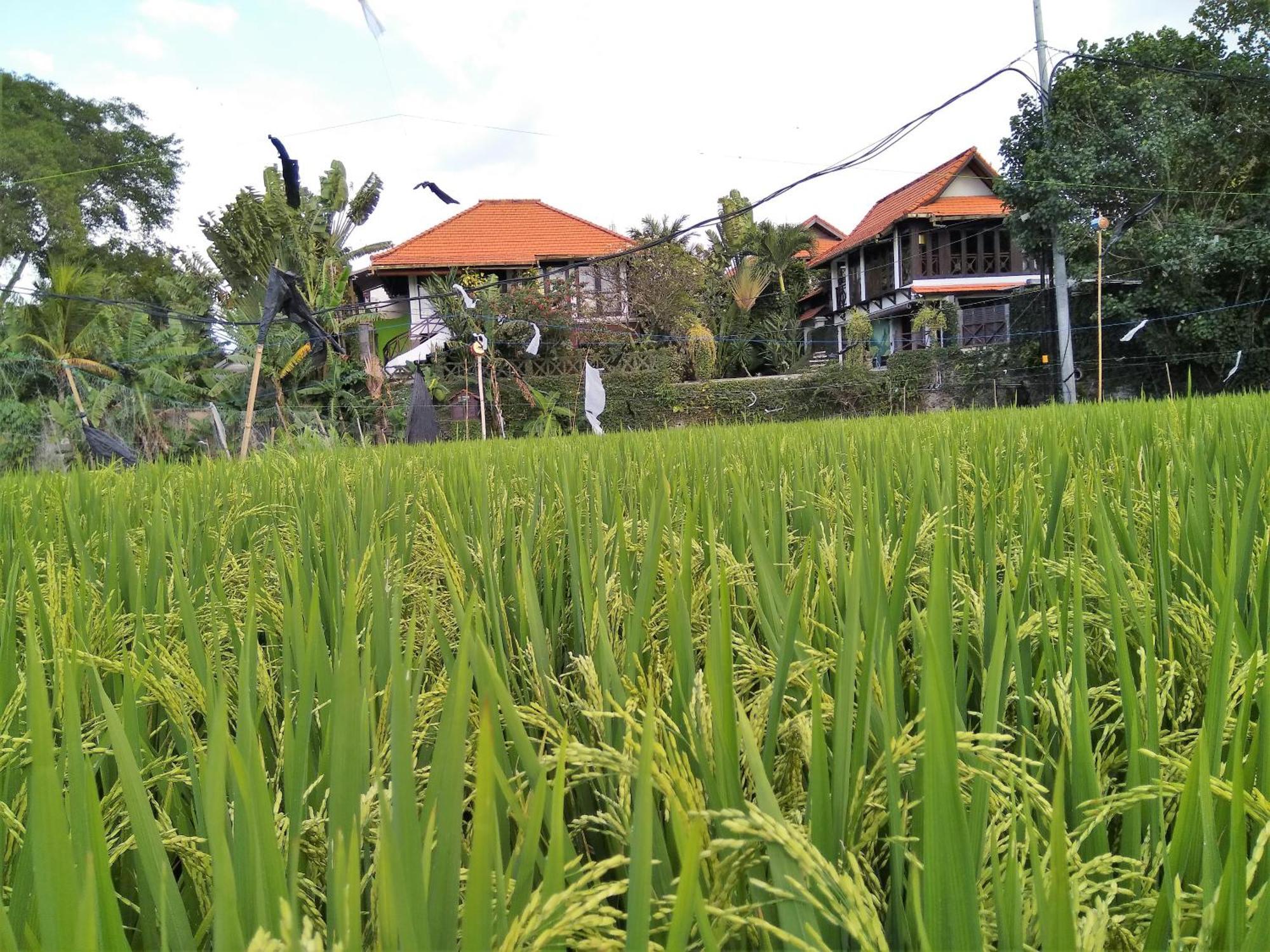 Guest house Umah Watu 4*