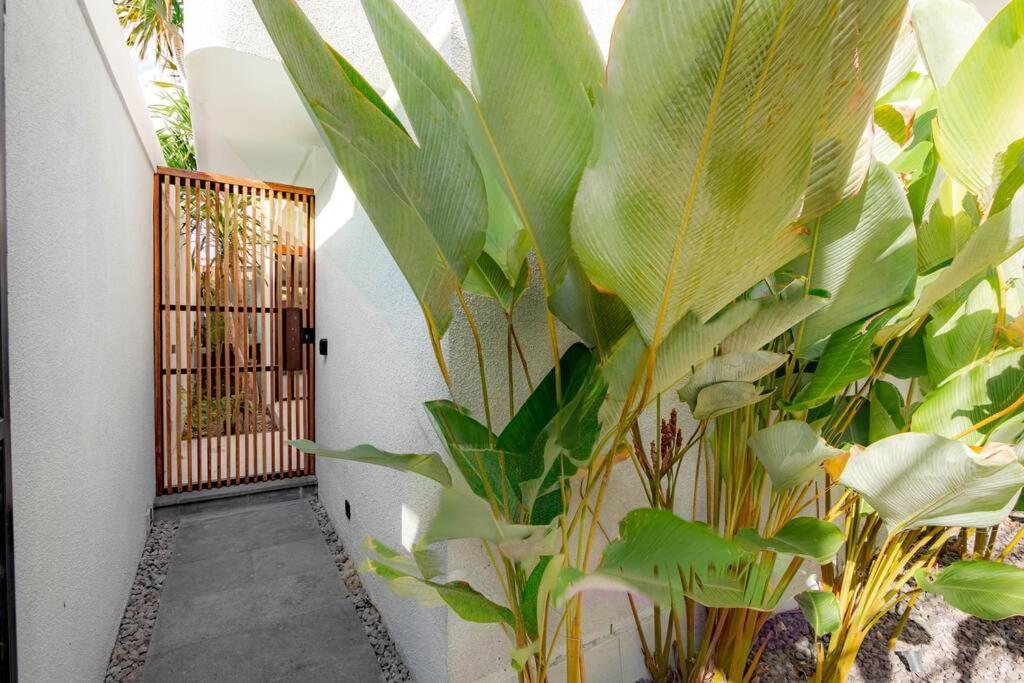 The Drupadi Town House Lola