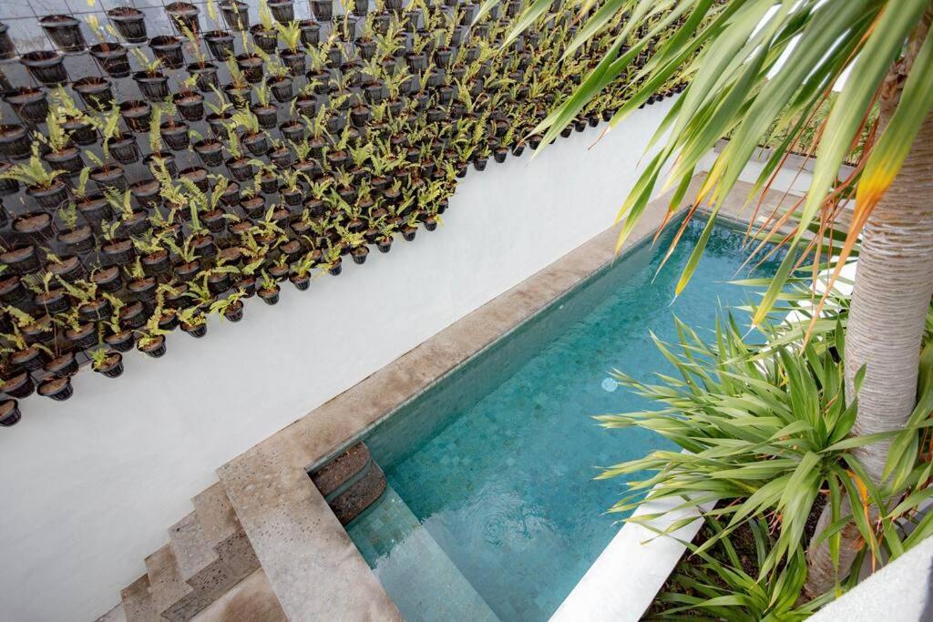 The Drupadi Town House Lola Seminyak (Bali)