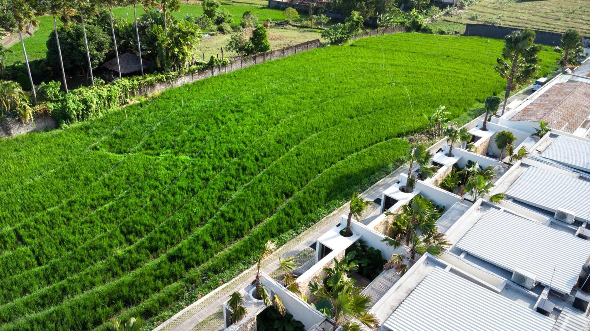 Luuma 3 By Balisuperhost * Seminyak