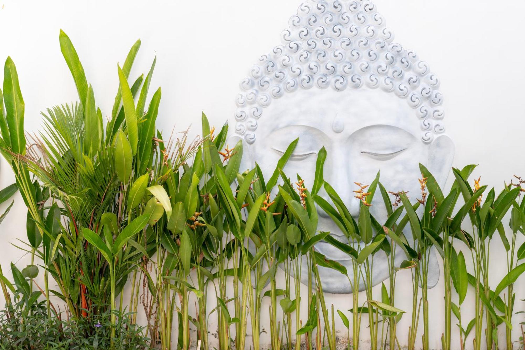 Luxury Devina I I Yoga & Gym Villa *