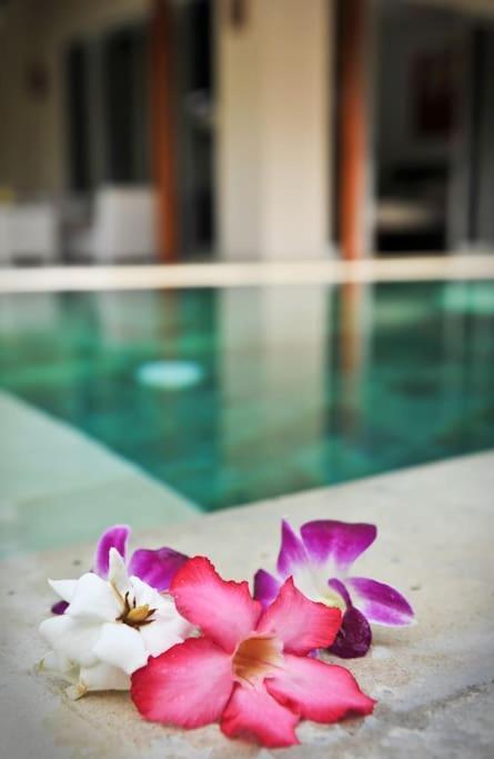 Serenity 4 Bedrooms Big Pool Bali Seminyak (Bali)