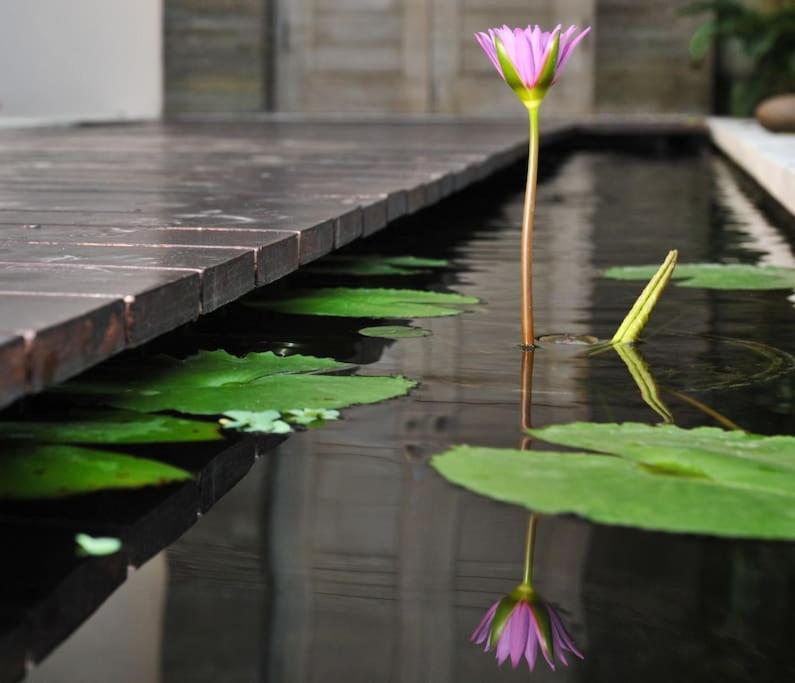 Serenity 4 Bedrooms Big Pool Bali