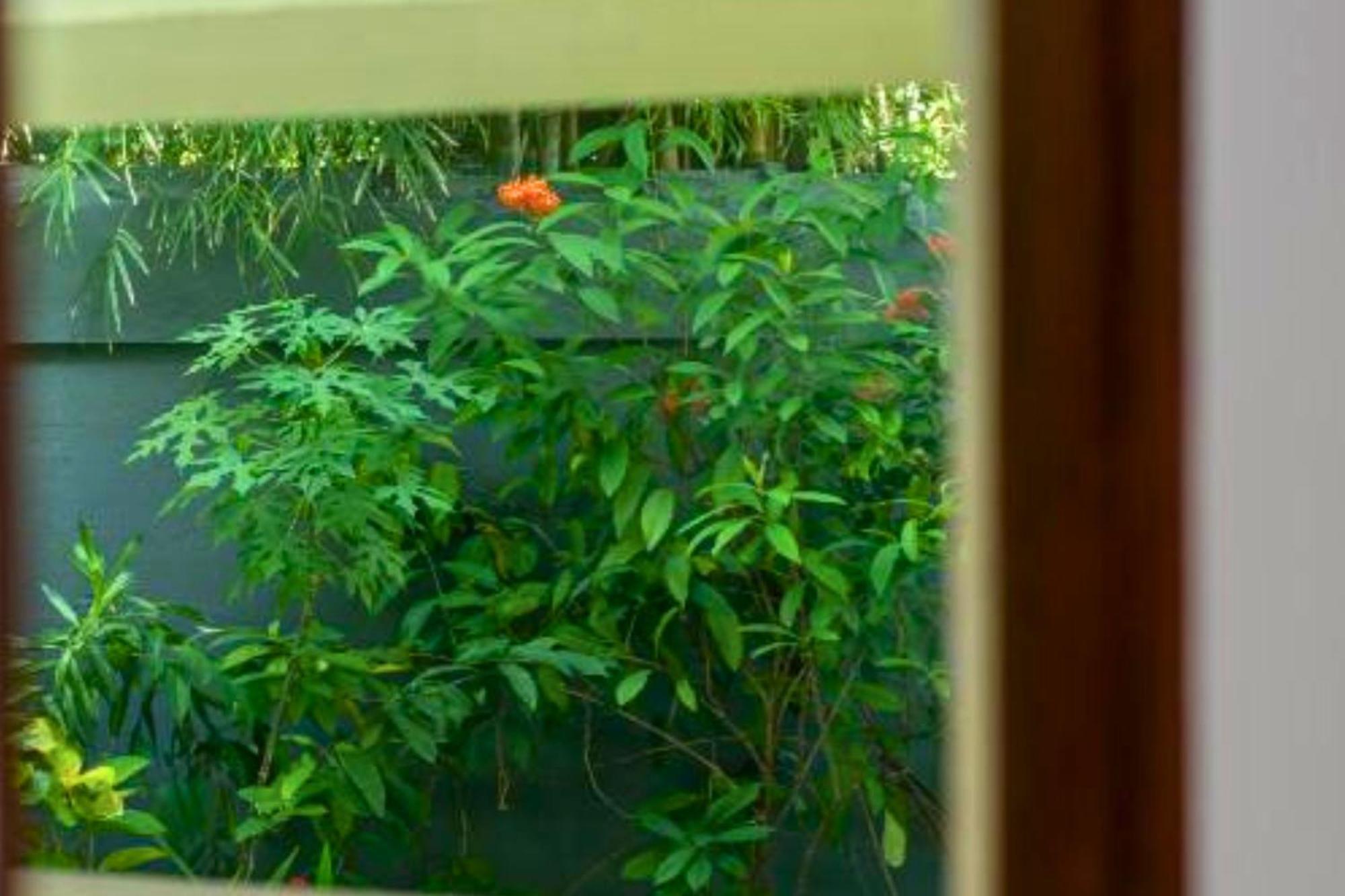 Villa Omkara 2 Bedroom Deluxe Private Pool Zn253 *