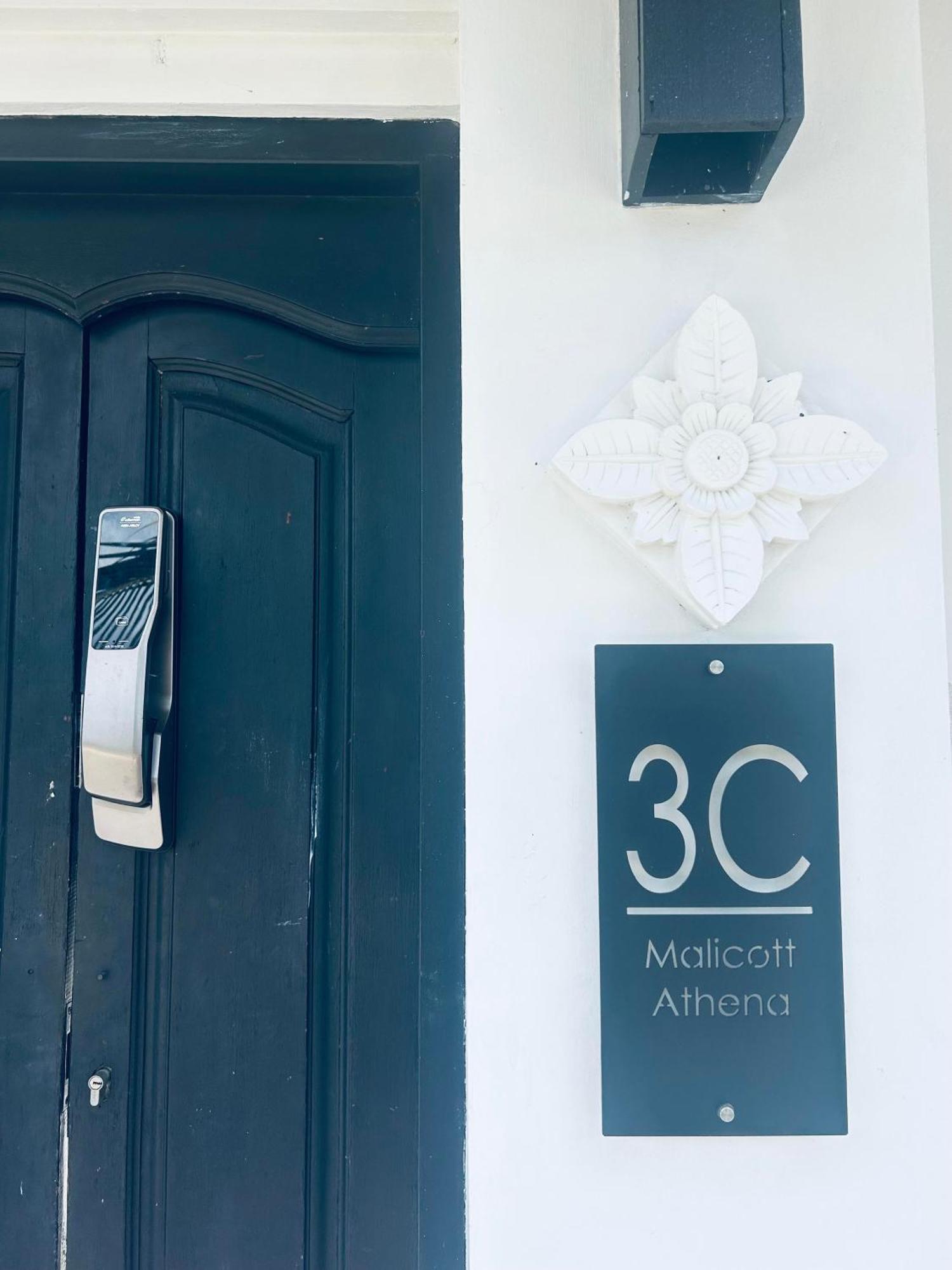 Malicott Athena - 3c * Seminyak