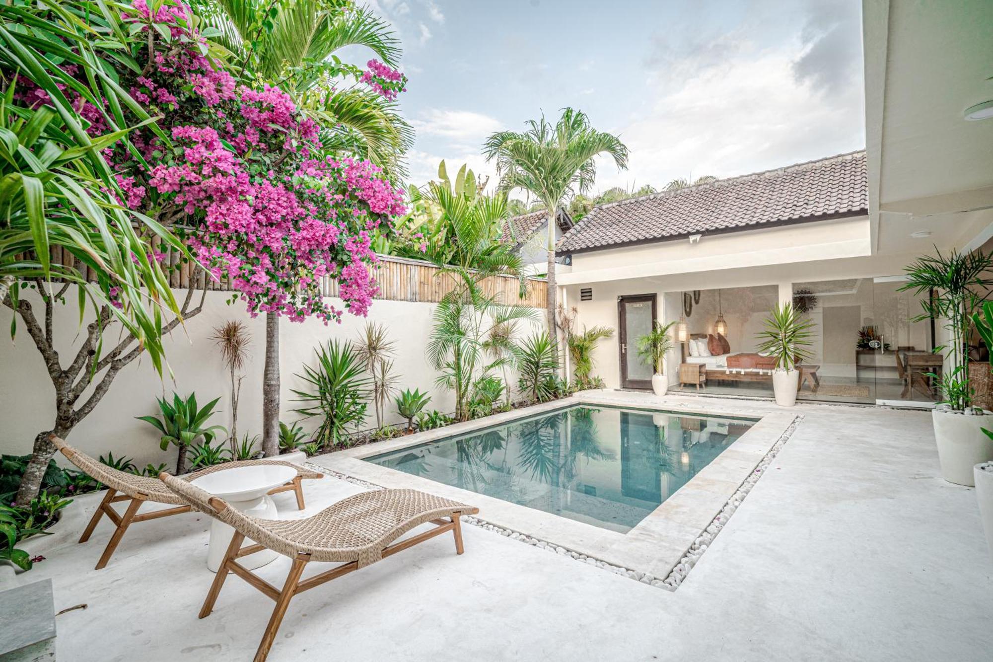 Lemone 5 By Bali Solutions *