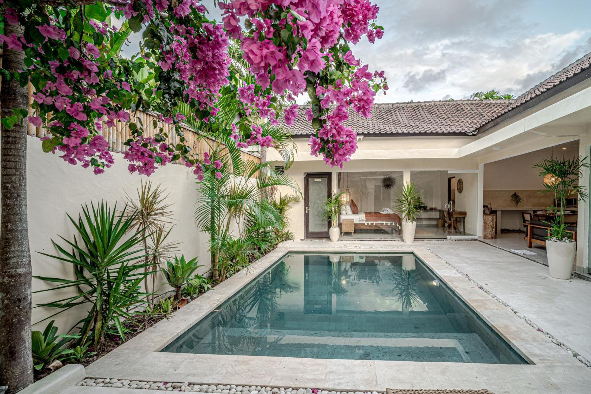 Lemone 5 By Bali Solutions *