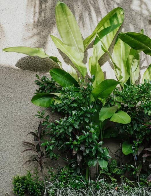 Villa Yang Tao 5, Boutique 3-bdr Heart Of *