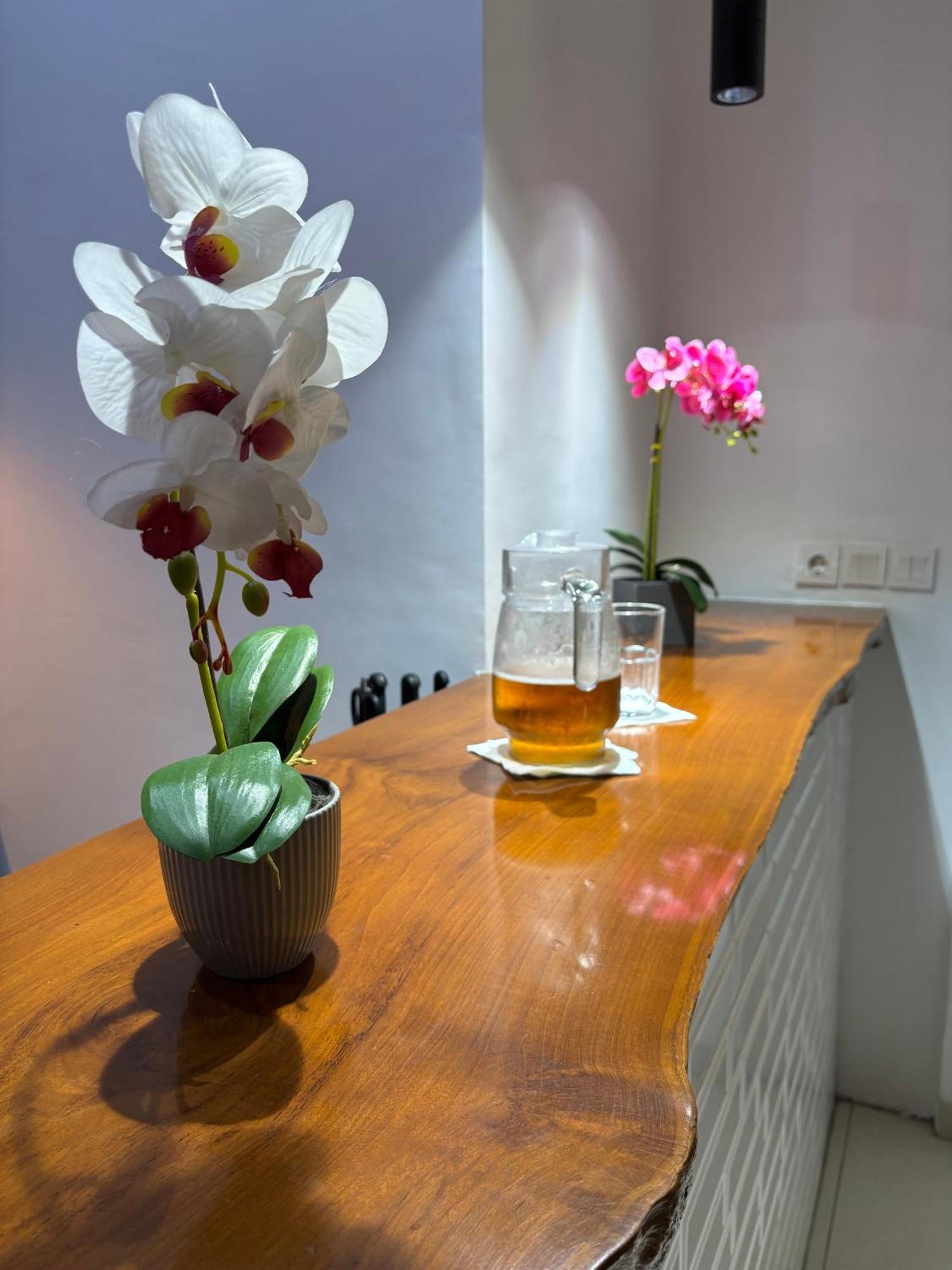 De Luxe Fabian Escape In Homestay *
