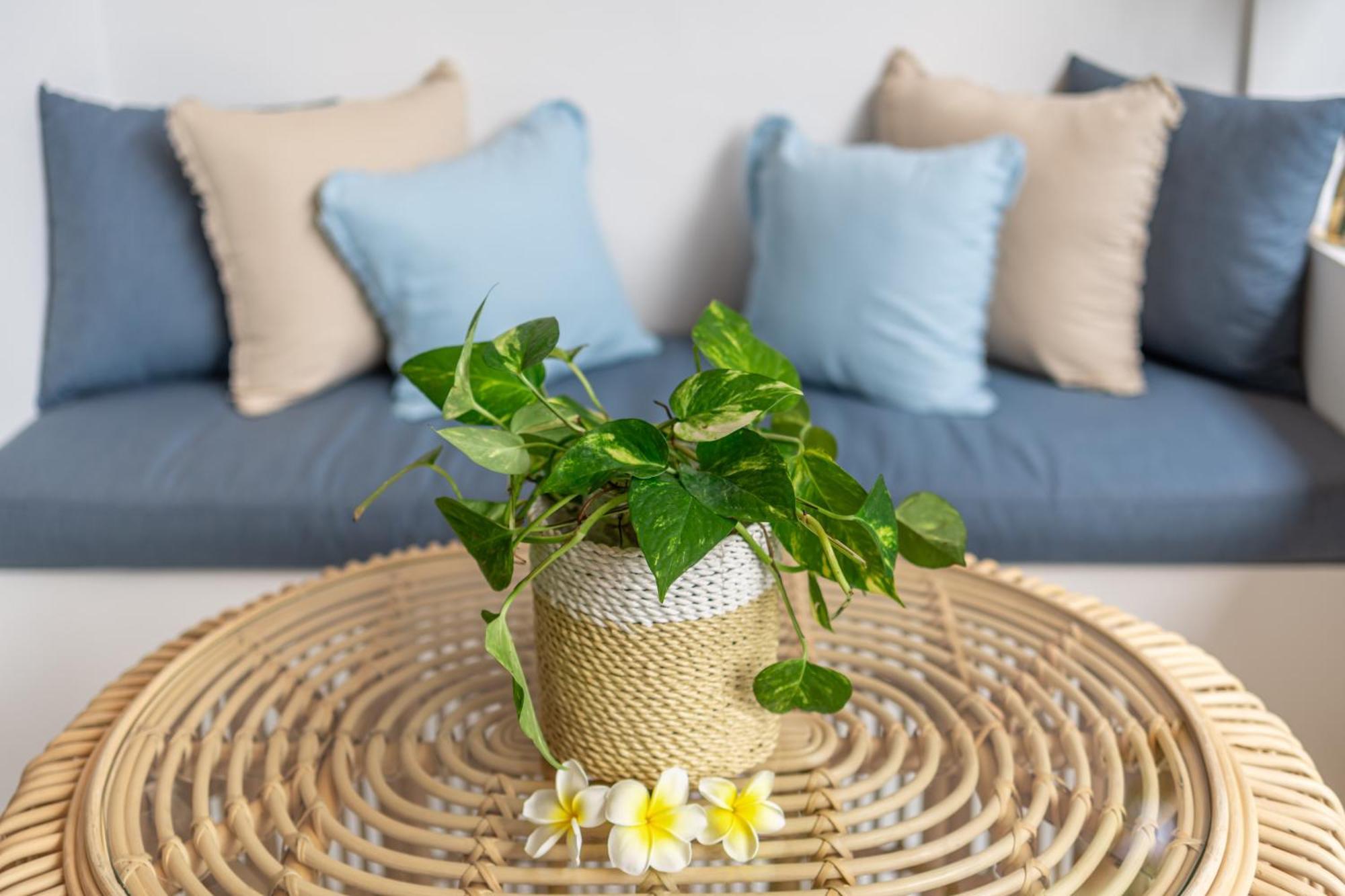 The Hepburn Stylish Single Room Guesthouse With Shared Pool 900M From Seminyak Beach