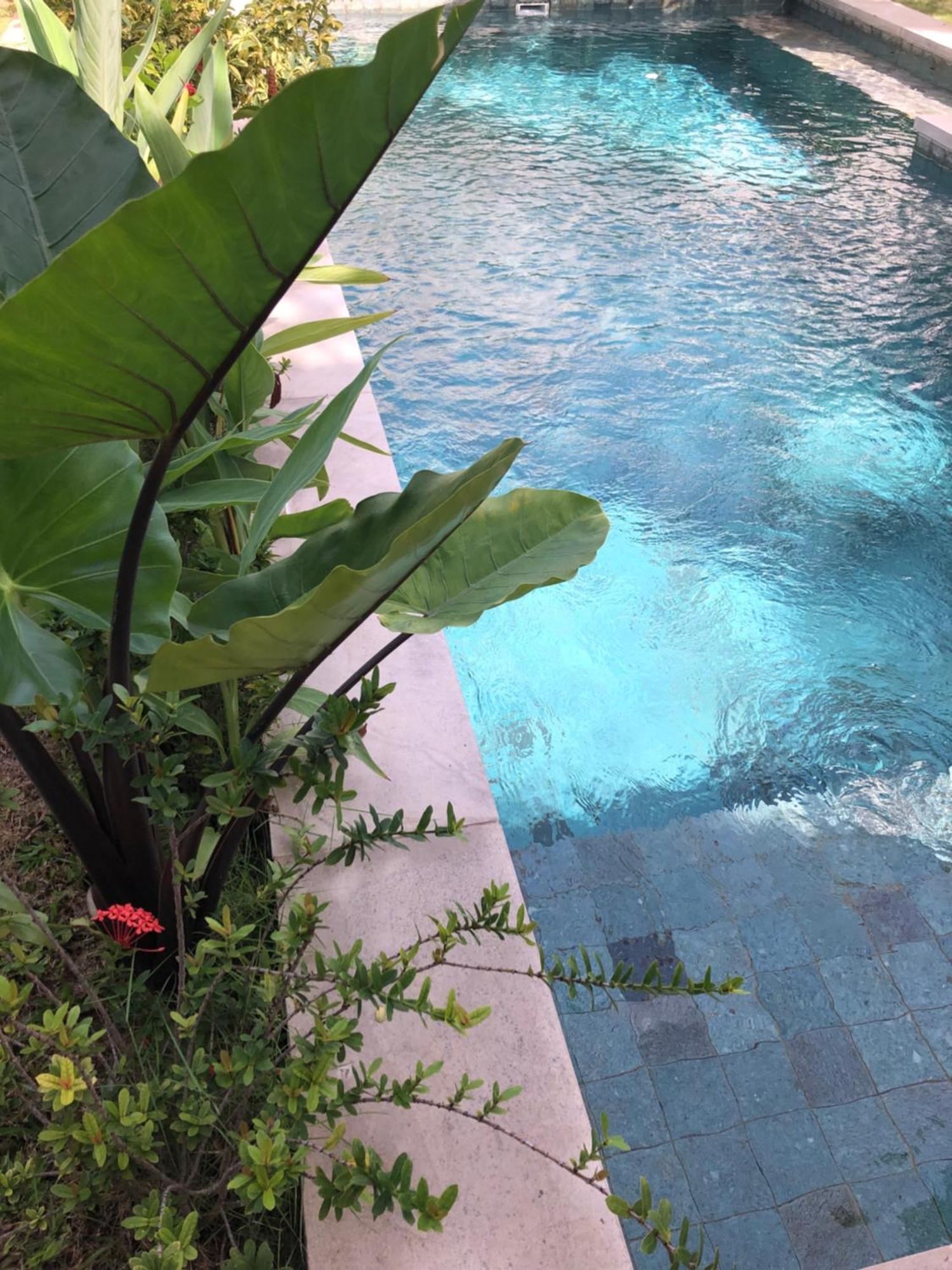 Villa Abhista