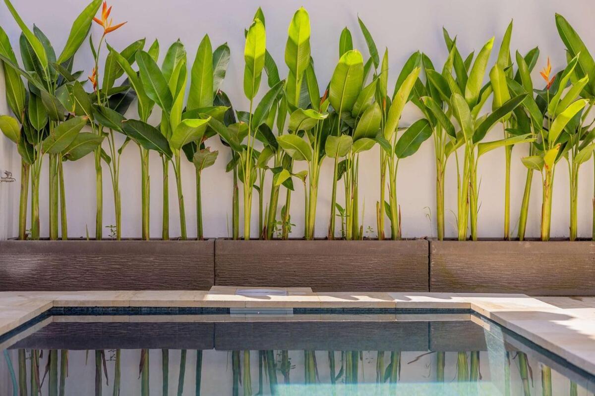 Villa Phoenix Brand New 1br In Umalas, Bali *