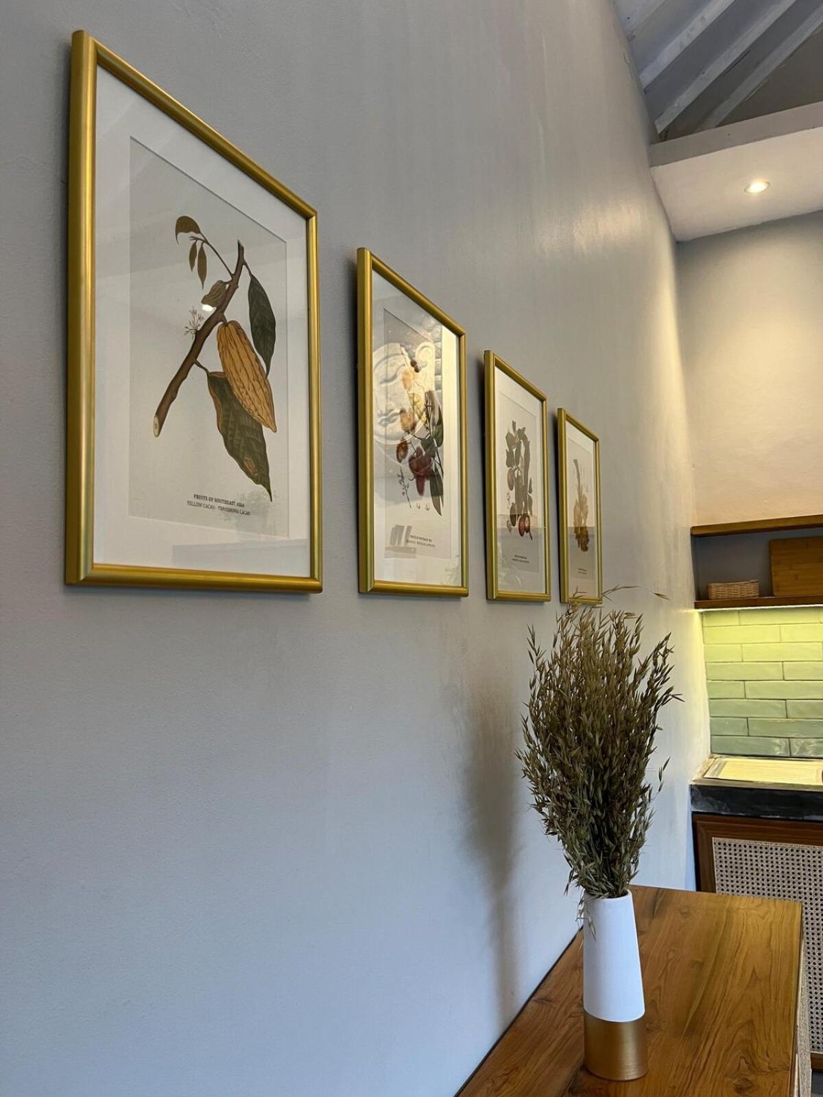 Casa Oliva - Tropical Pool On Trendy Eat Street *