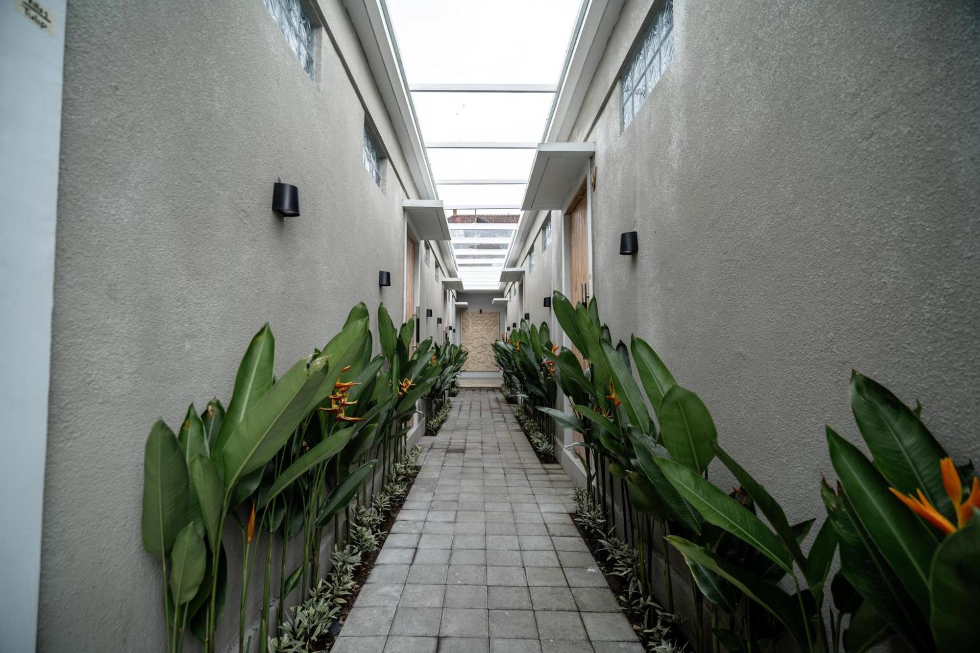 The Eight & Bali -