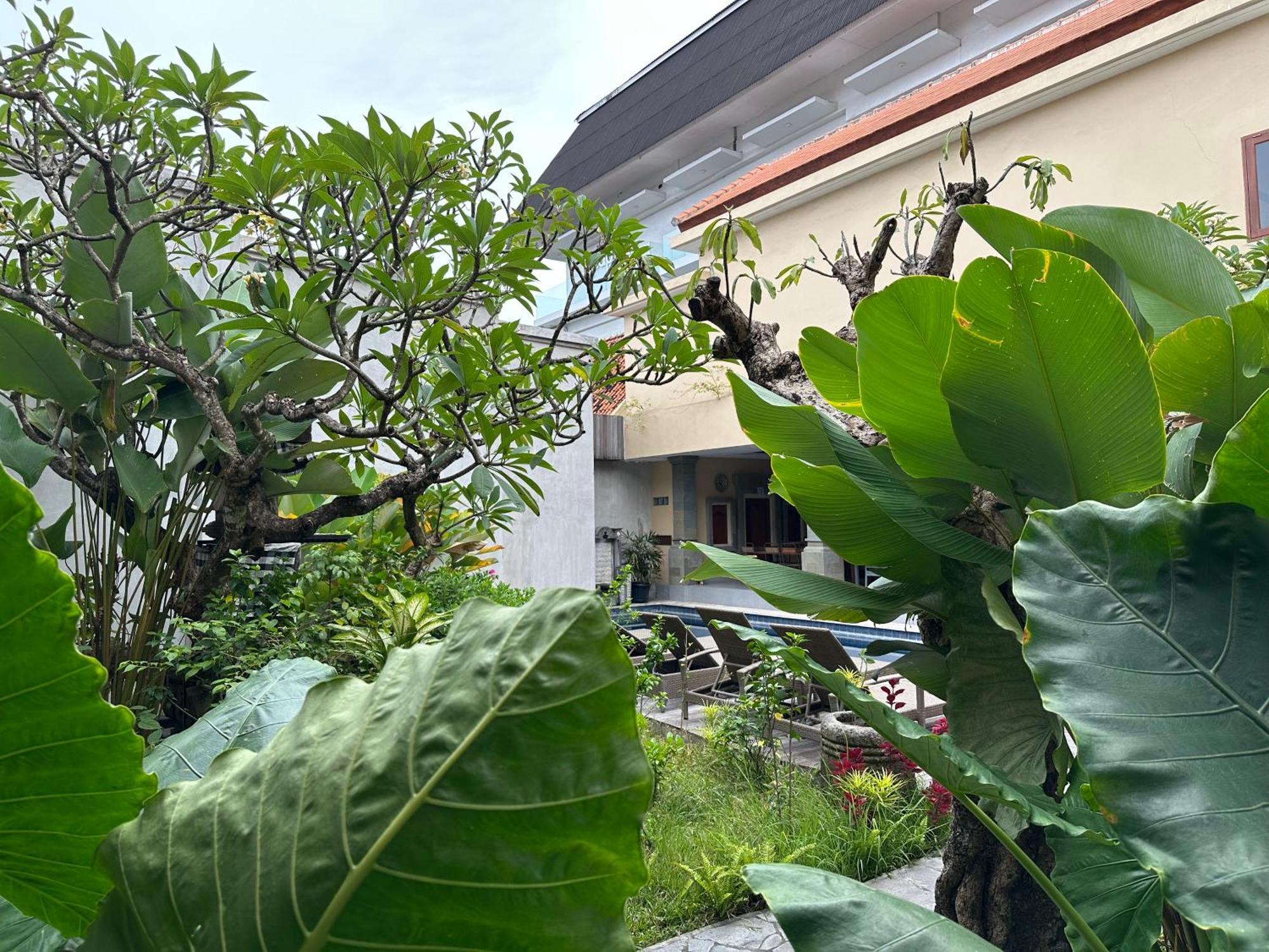 Bunga Hotel 3*